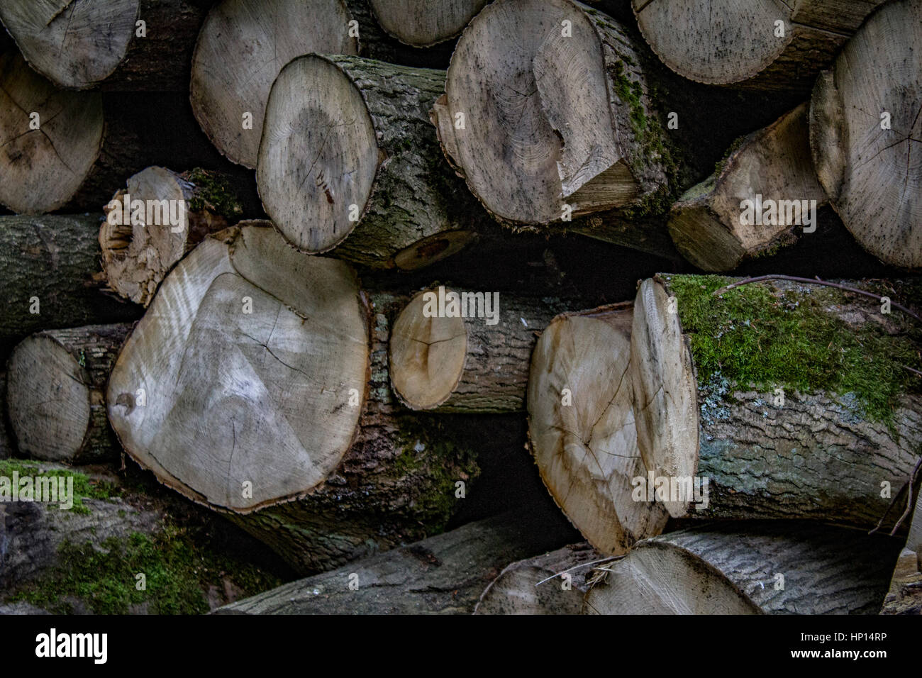 The logs. Shot in Denmark Stock Photo - Alamy
