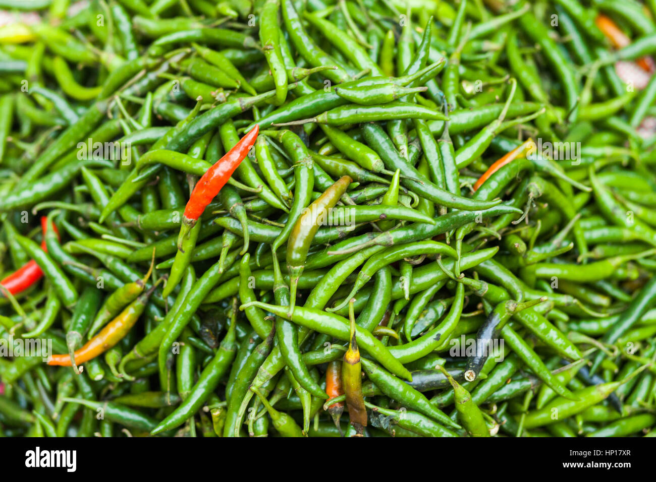 Green and red chili peppers Stock Photo - Alamy