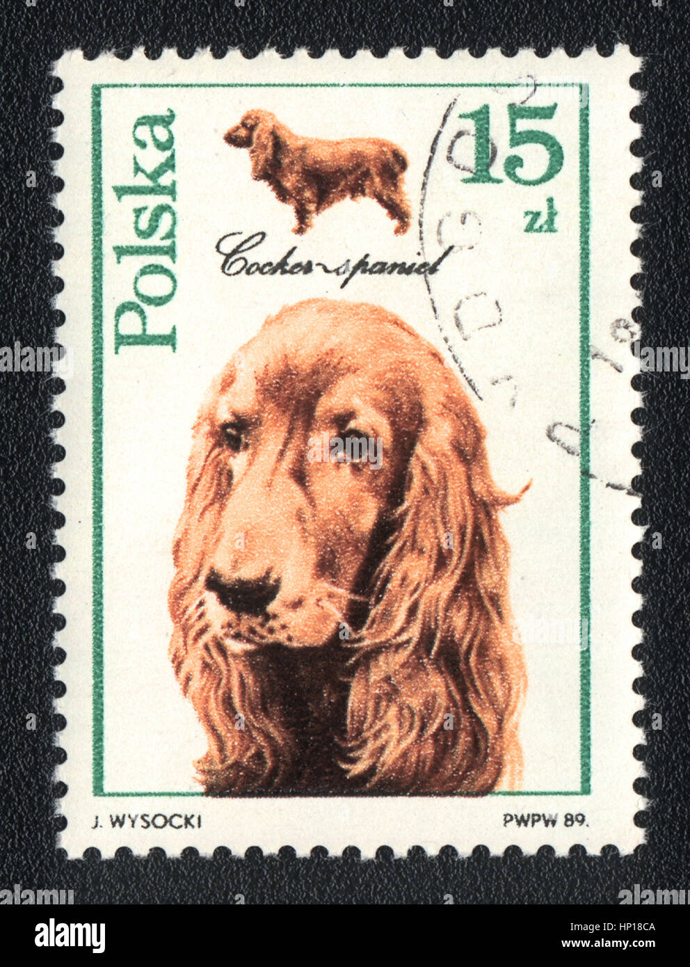 Cocker Spaniel Metal Stamp  Cavalier Dog Breed Jewelry Stamp – Stamp Yours