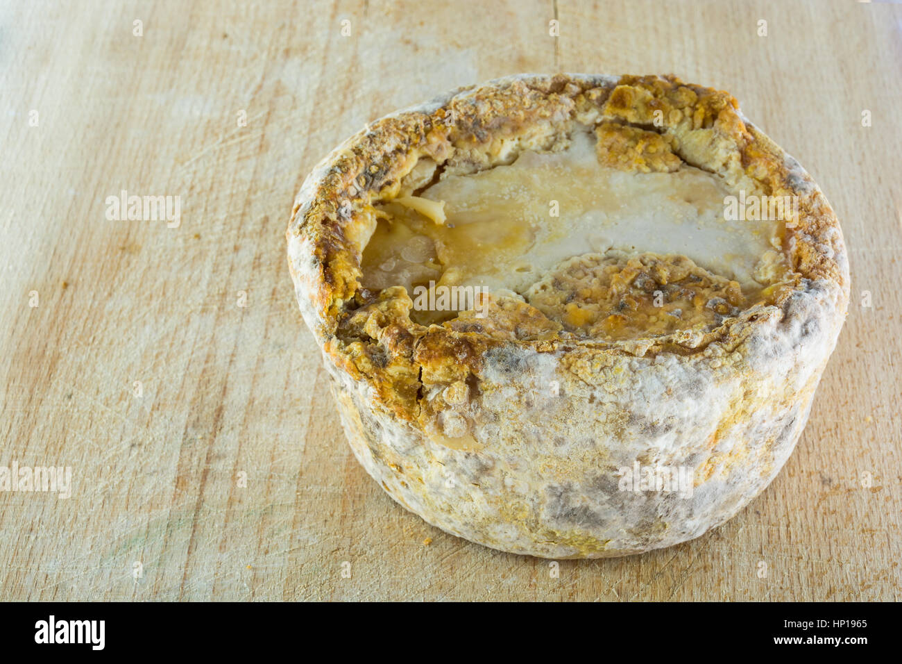 bloomy rind cheese and the penicillium camemberti... The form of hard cheese of a bloomy rind goat's milk, frost crust ...