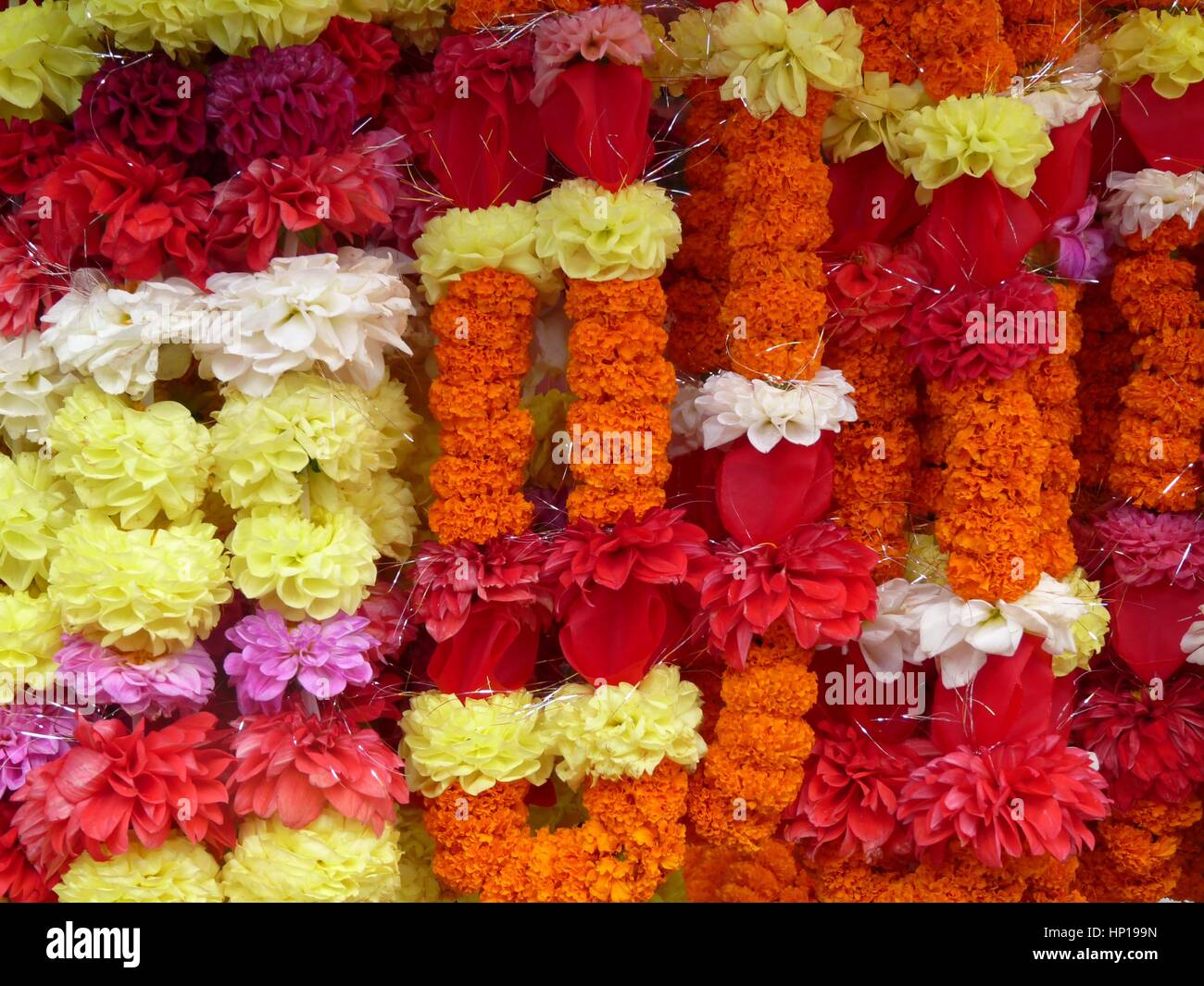 Religious offerings of strings of marigold and similar flowers left by ...