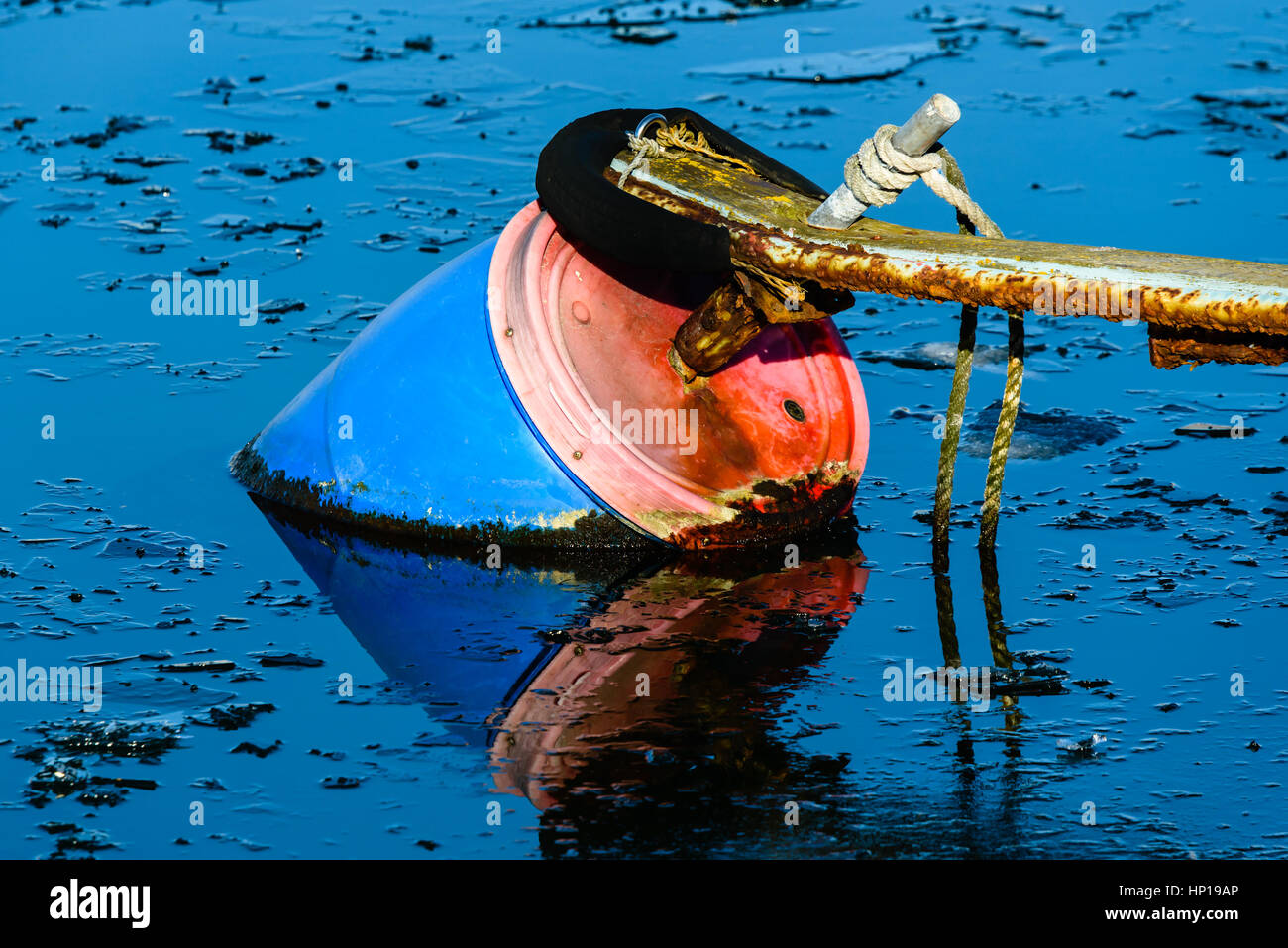 Red and blue mooring float in icy cold water. Stock Photo
