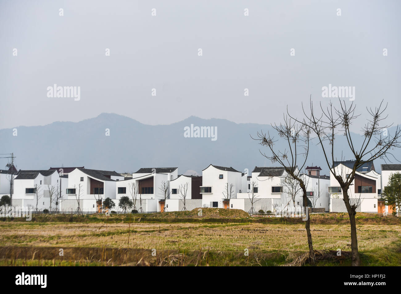 Hangzhou. 17th Feb, 2017. Photo taken on Feb. 17, 2017 shows newly