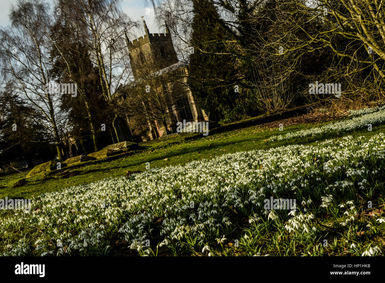 Leominster in herefordshire hires stock photography and images Alamy