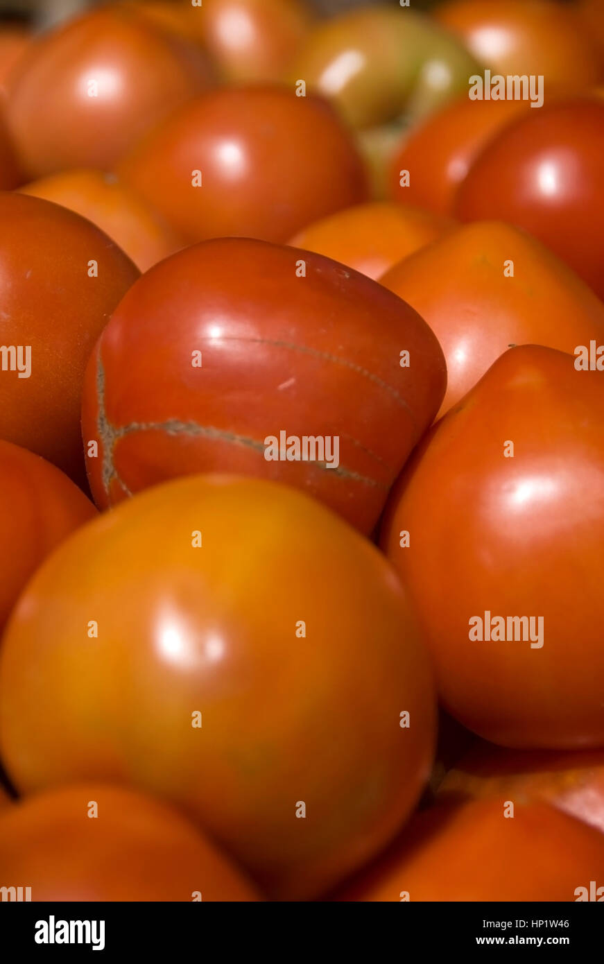 Tomaten - tomatoes Stock Photo