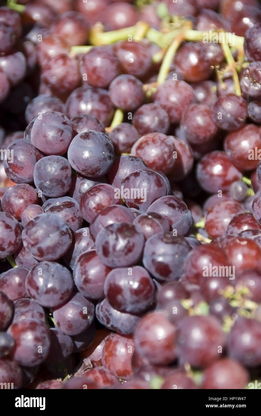 Weintrauben - grapes Stock Photo