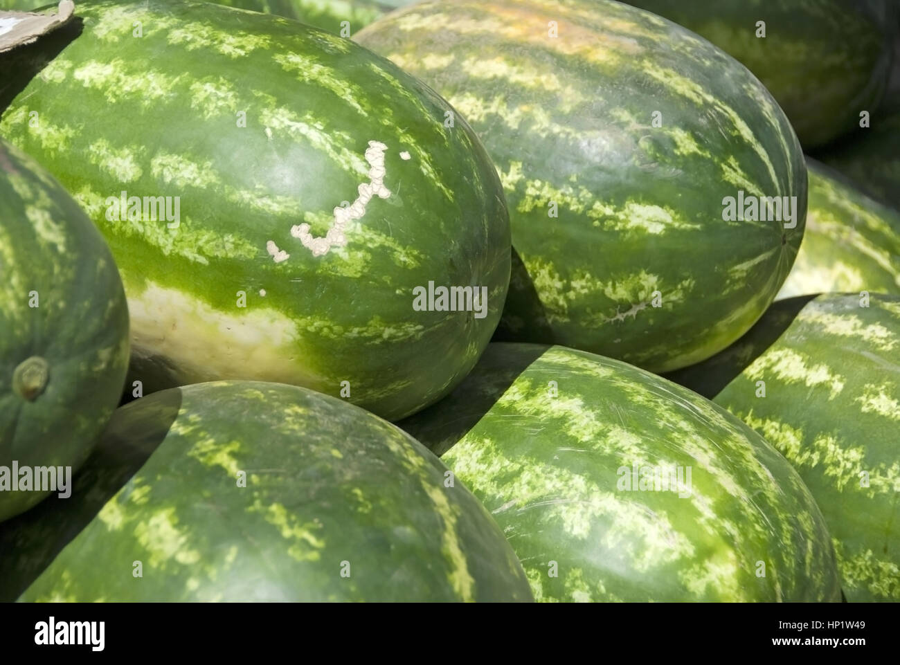 Melonen - melons Stock Photo
