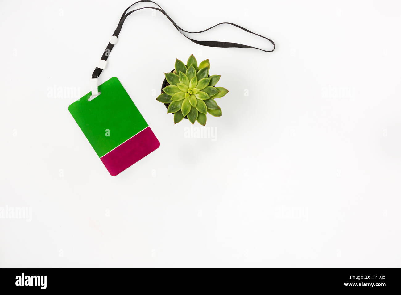 Blank badge with lanyard on white Stock Photo - Alamy