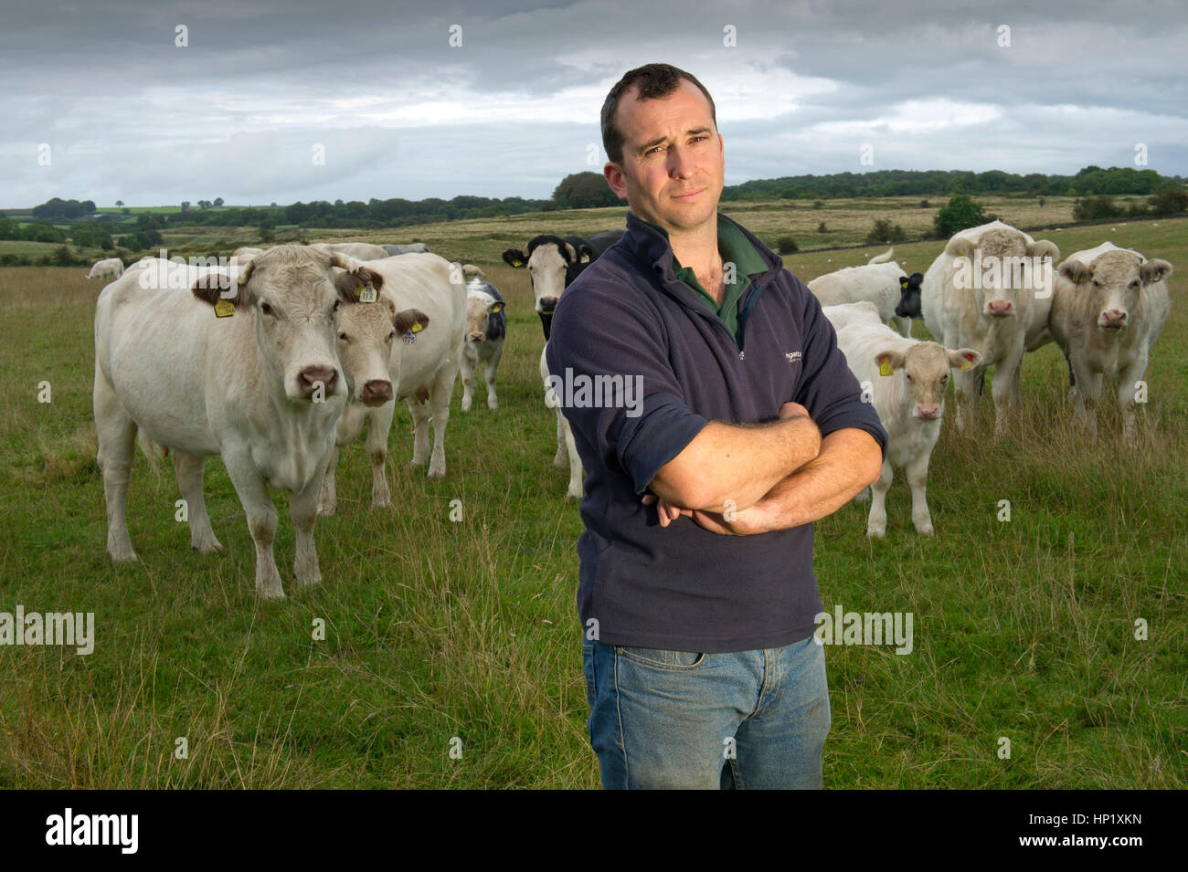 Beef farmer James Small with his herd of White Bred Beef Shorthorn
