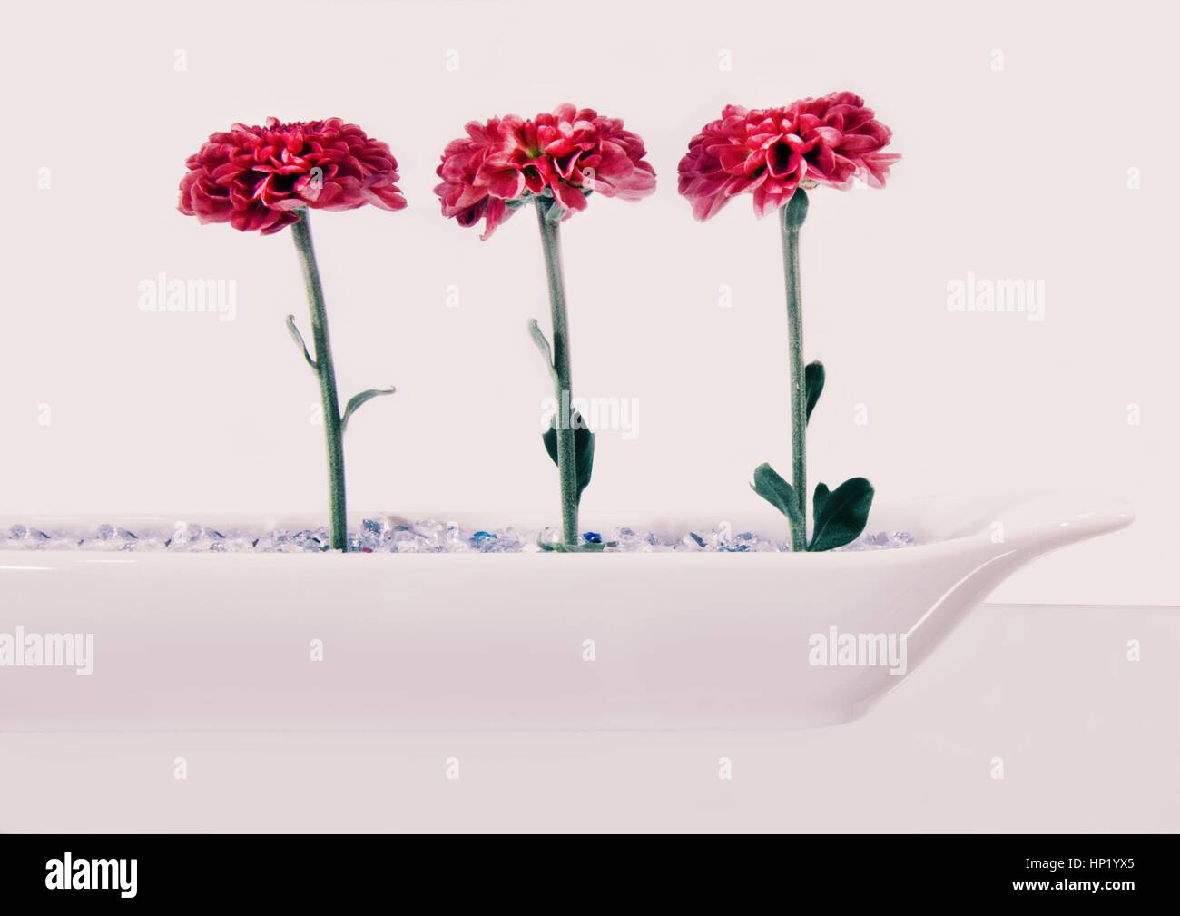 Flower arrangement Stock Photo