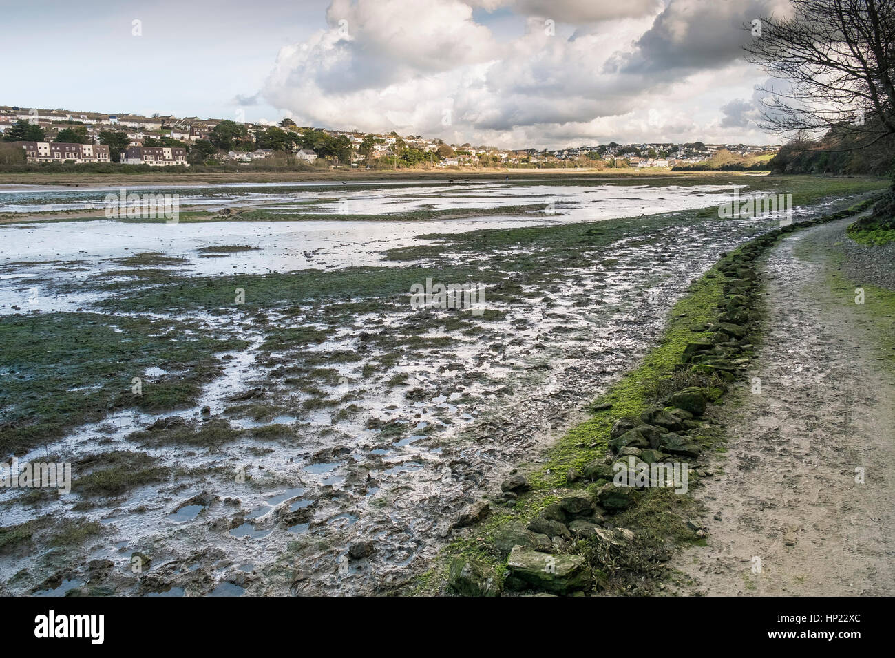 A footpath next to a bridle way near the Gannel River. Newquay; England; UK. Stock Photo