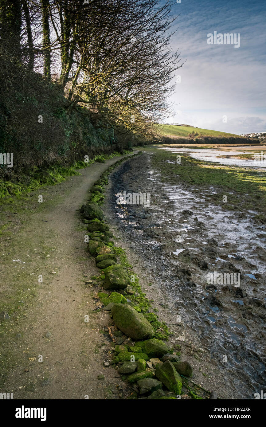 A footpath next to a bridle way near the Gannel River. Newquay; England; UK. Stock Photo