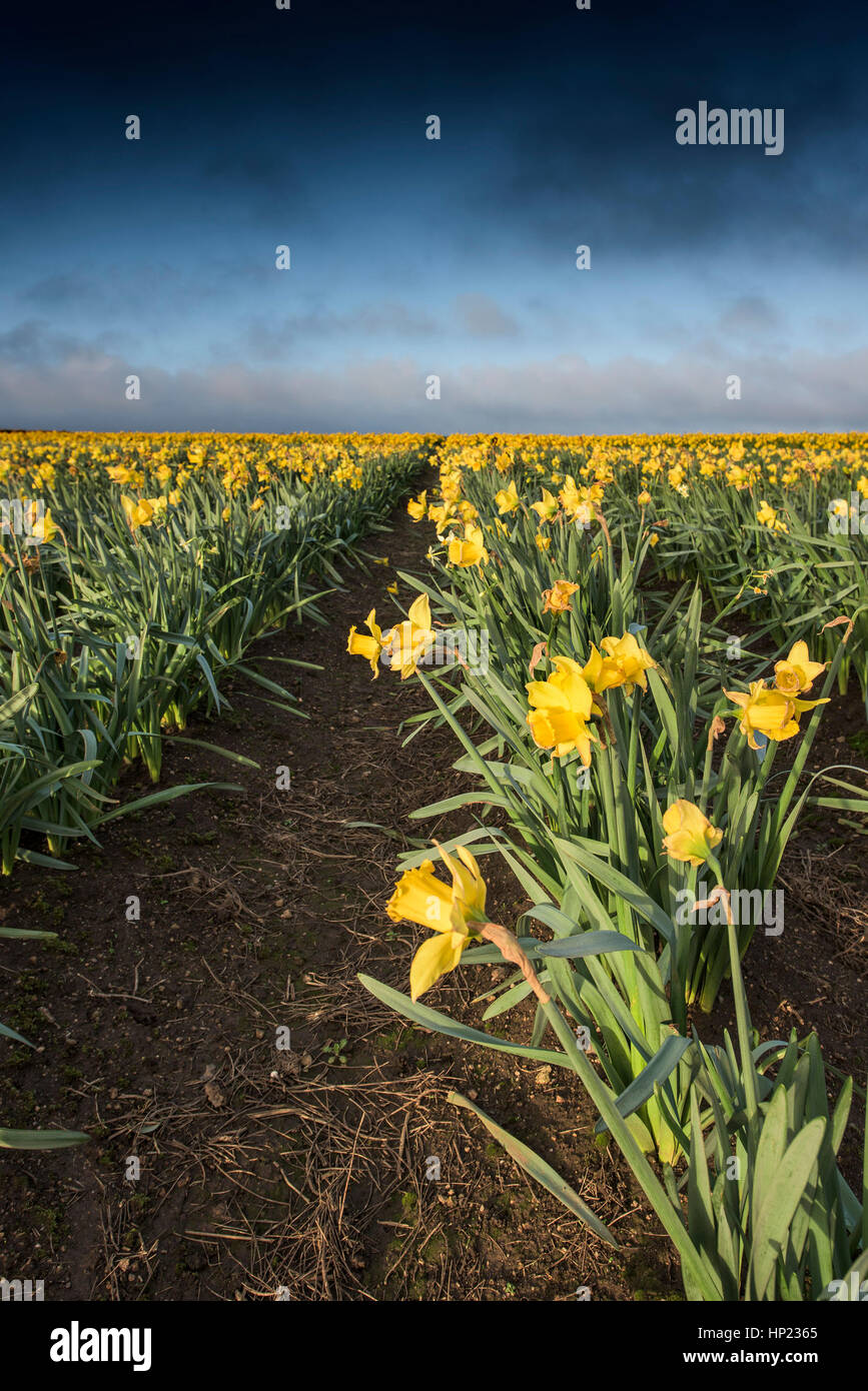 Agriculture spring hi-res stock photography and images - Alamy