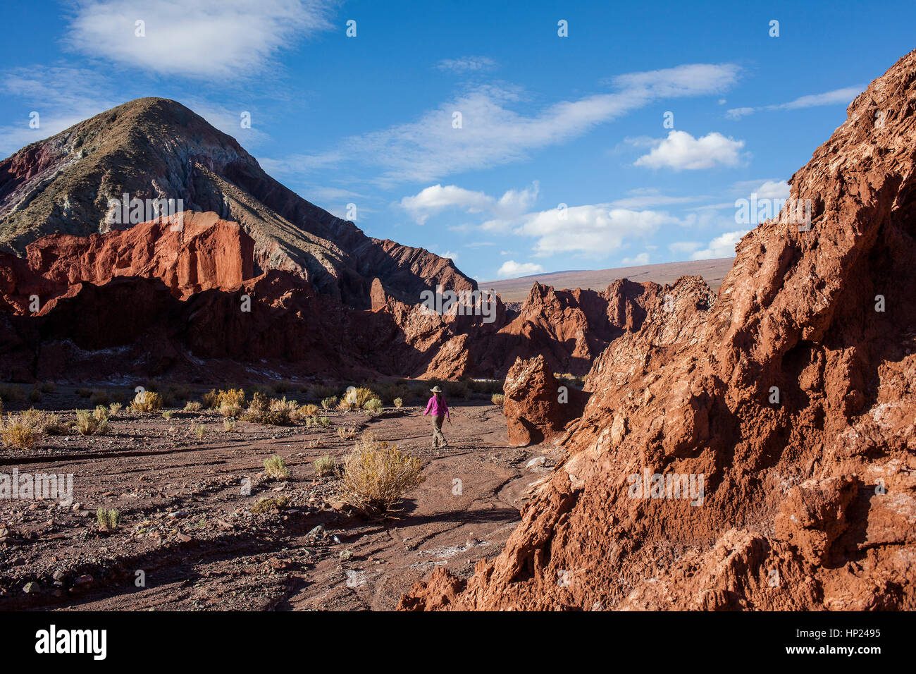 Valle del Arcoiris (Rainbow Valley), Atacama desert. Region de
