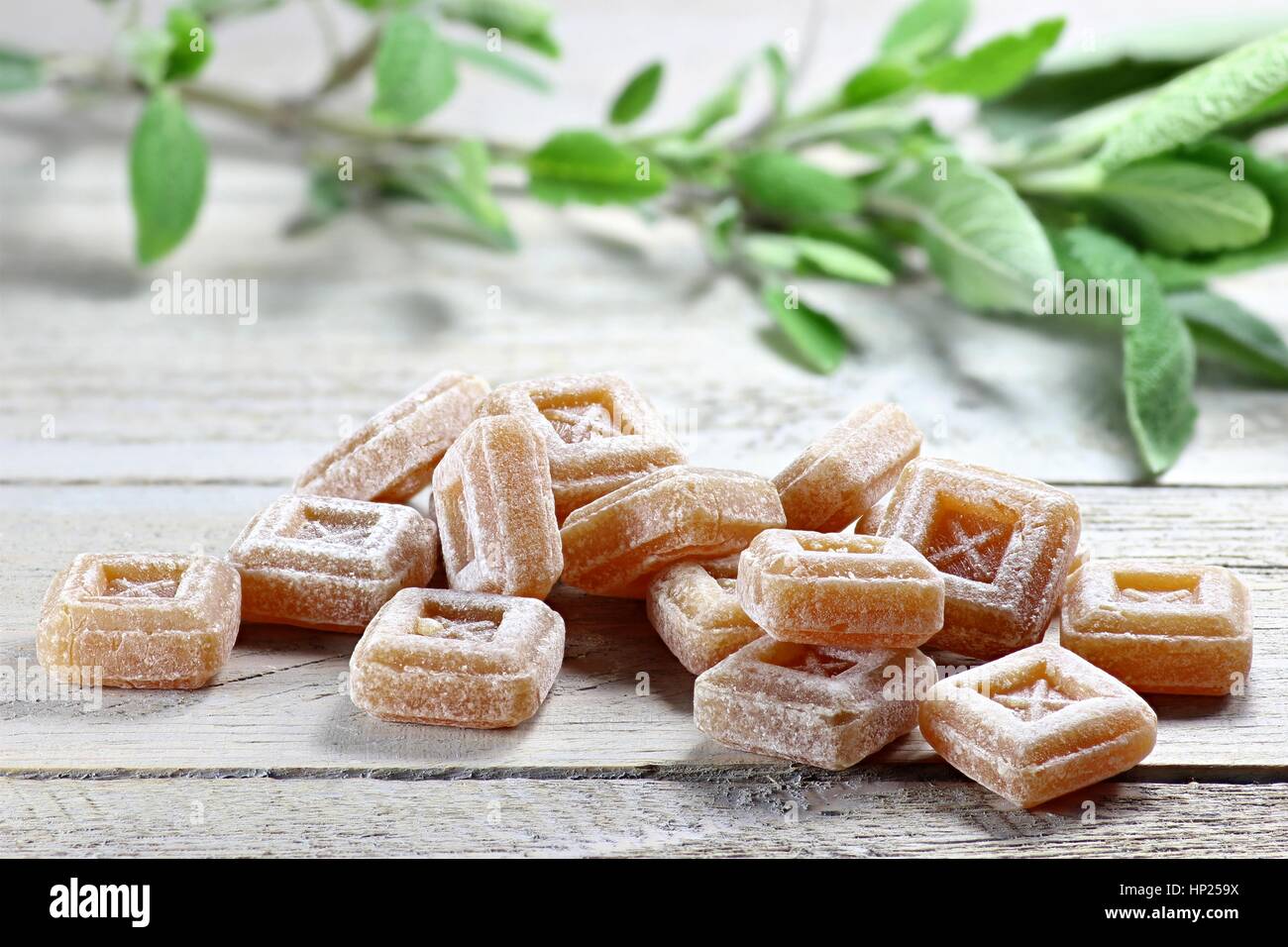 sage candies on wooden background Stock Photo