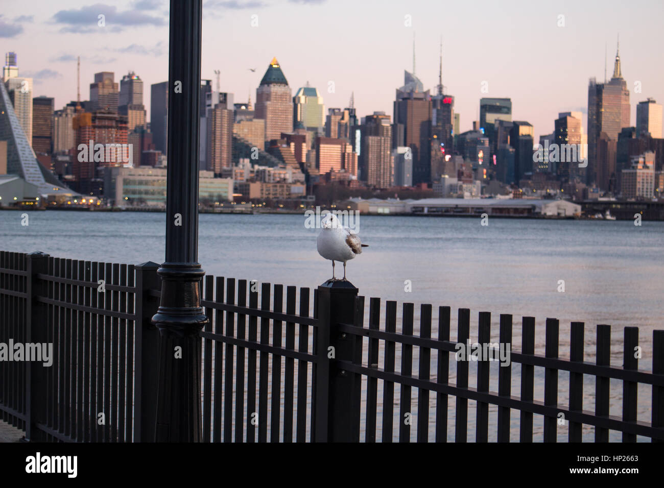 Port Imperial New Jersey across the Hudson River form mid-town Manhattan birds Stock Photo