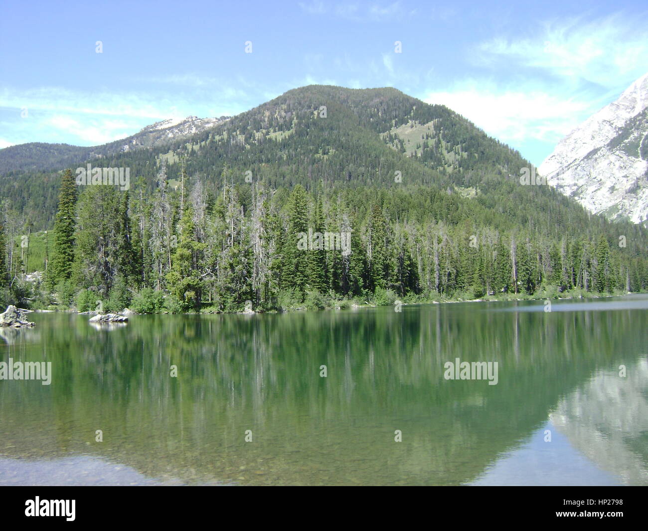 Mountain Lake And Forest Stock Photo - Alamy