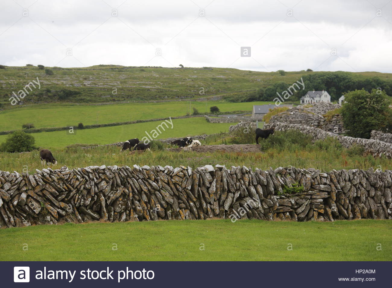 Irish landscape of stone and water at the seashore in Connemara, ireland Stock Photo