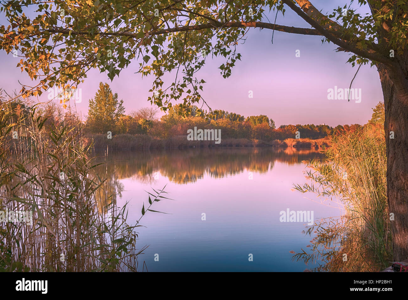 Autumn forest and lake Stock Photo - Alamy