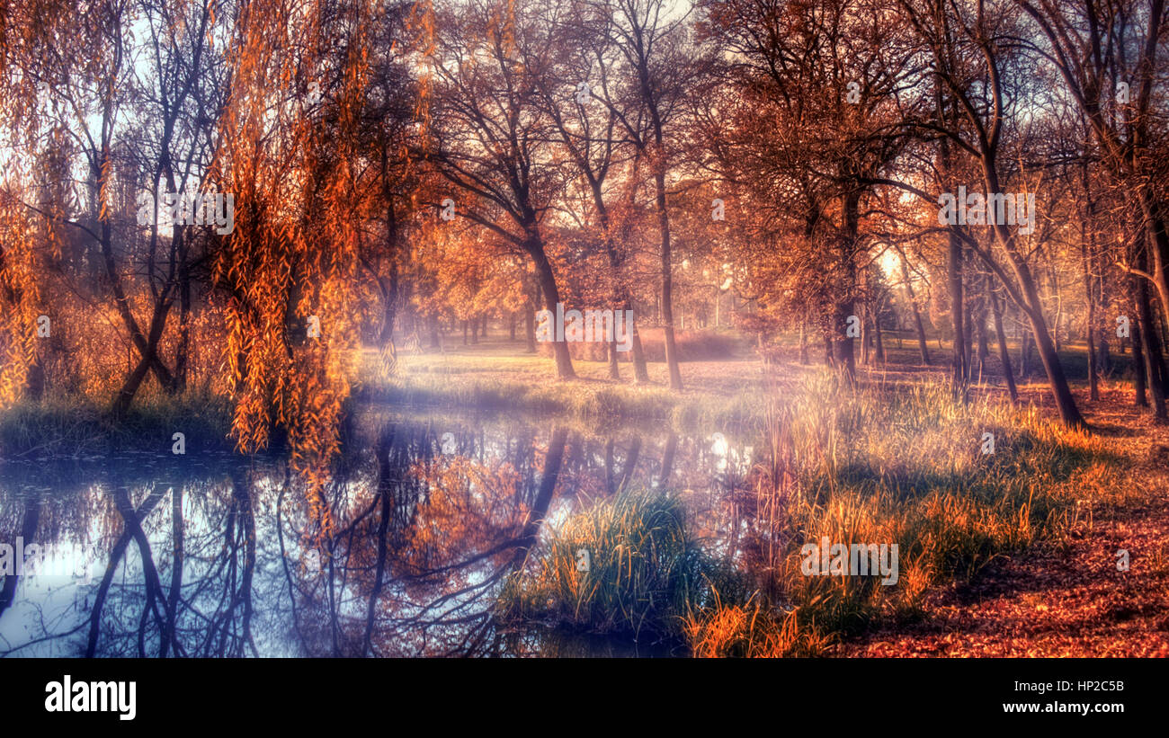 Autumn forest and lake in sunset Stock Photo - Alamy