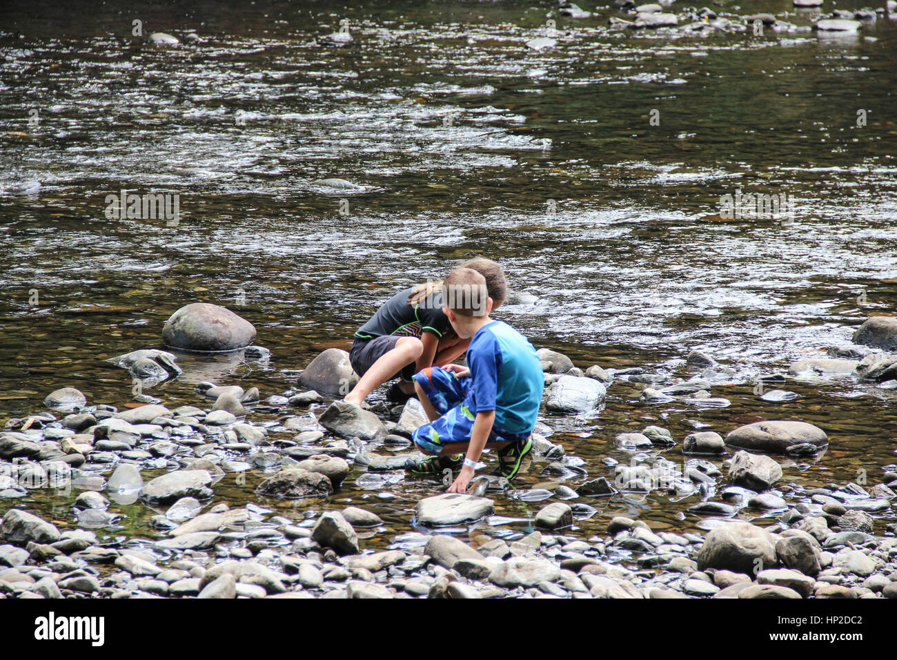 Children playing in a creek in Tennessee Stock Photo