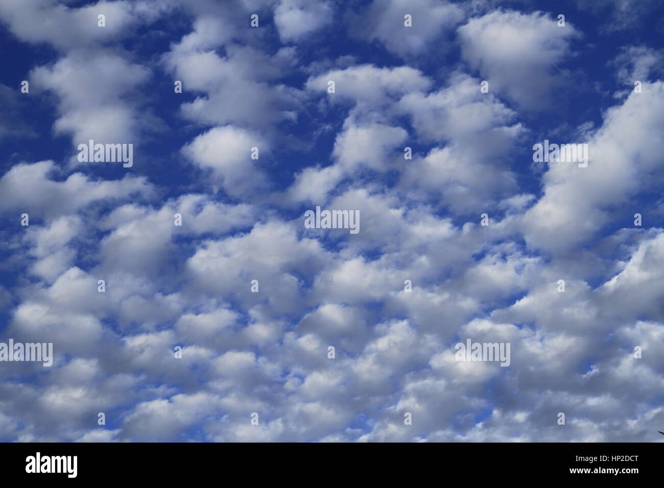 Cotton ball clouds hi-res stock photography and images - Alamy