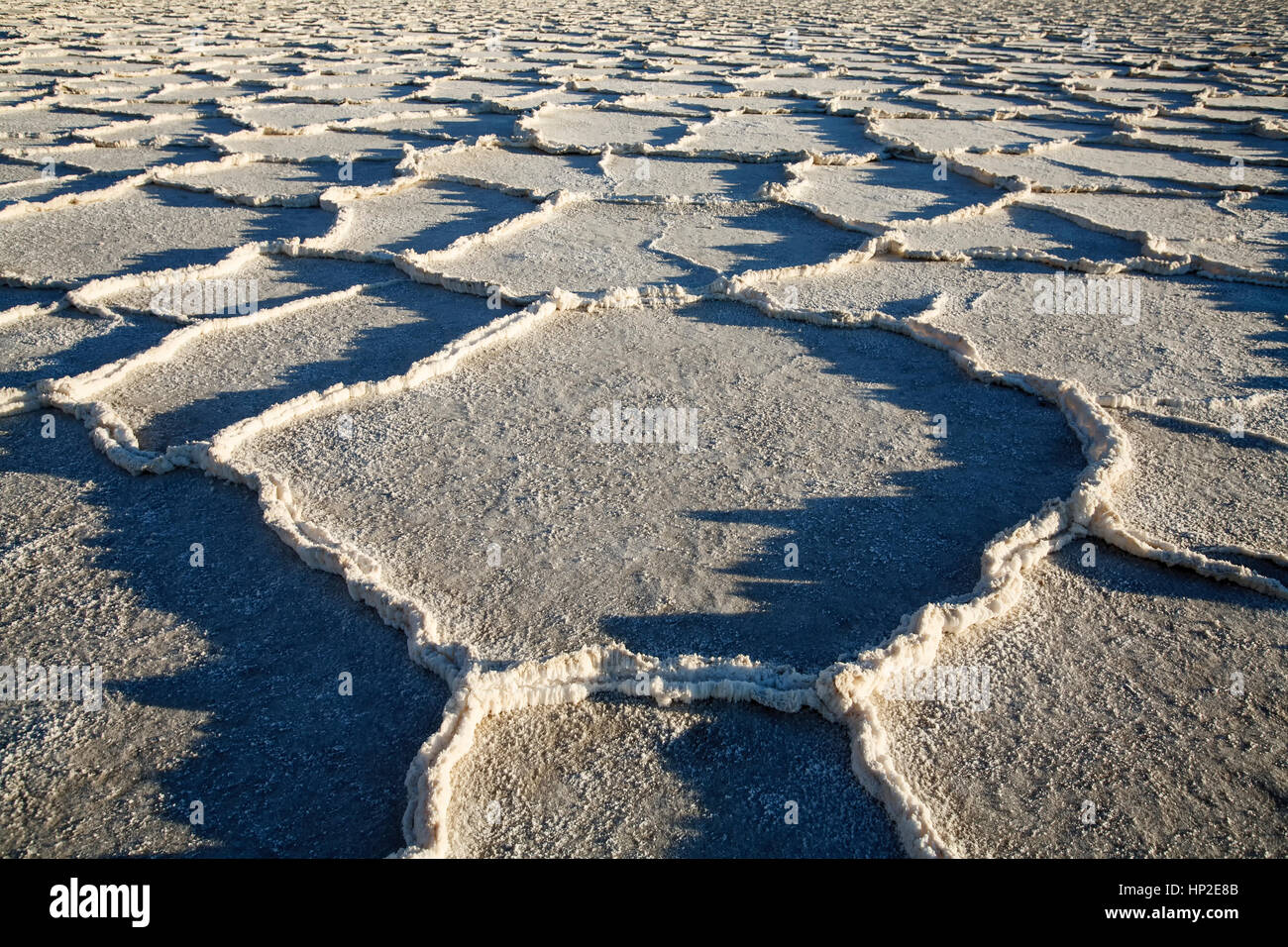 Polygonal salt pans, Badwater Basin, Death Valley National Park, California USA Stock Photo