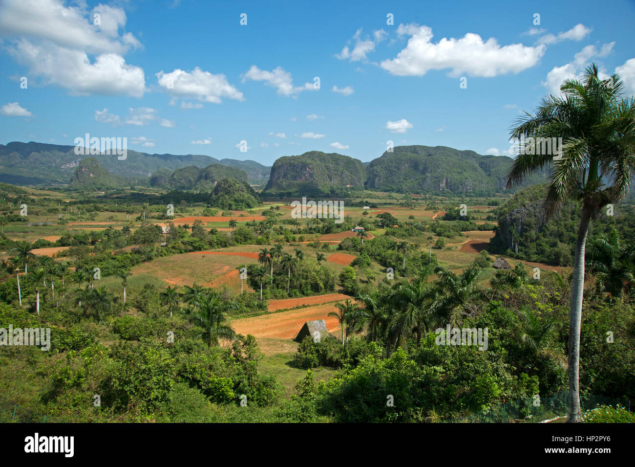 Mogotes dominate the landscape in the Valle de Vinales Pinar del Rio Province Cuba Stock Photo