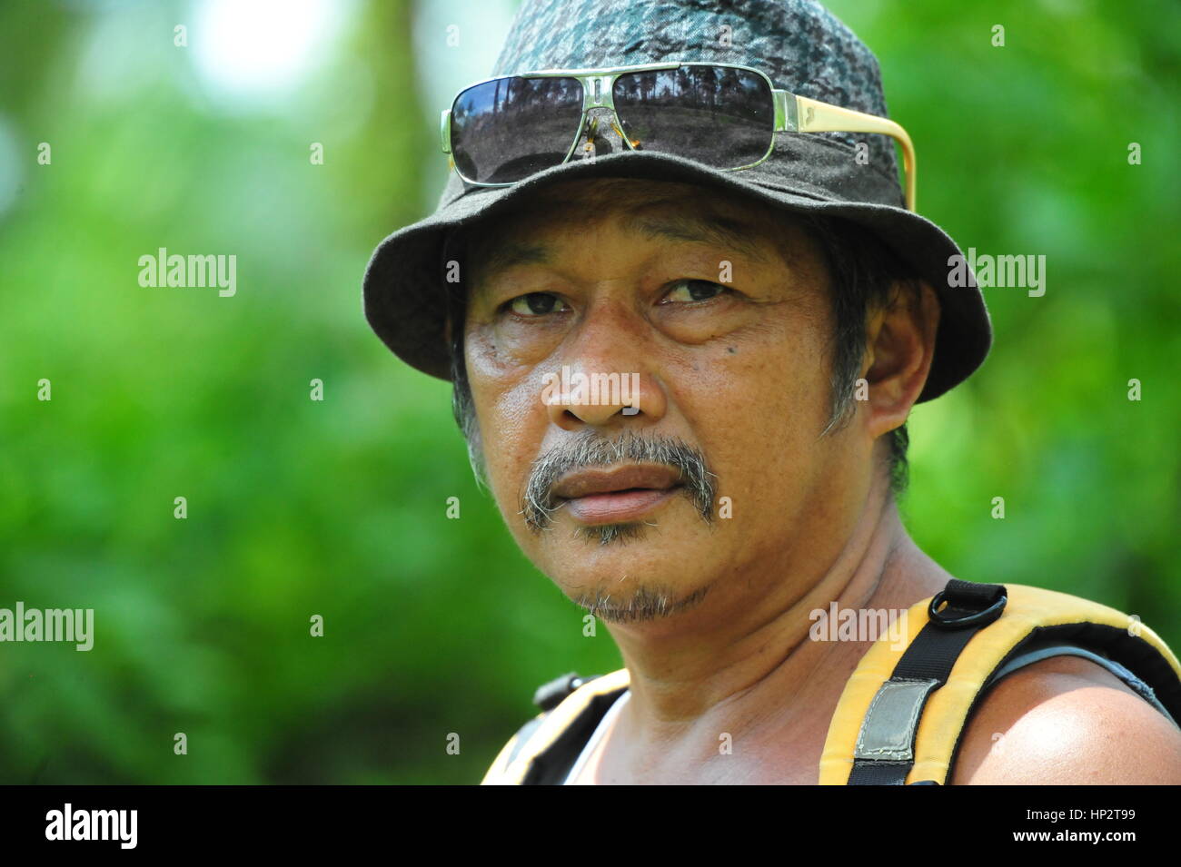 Hiking in the Rainforest Stock Photo - Alamy