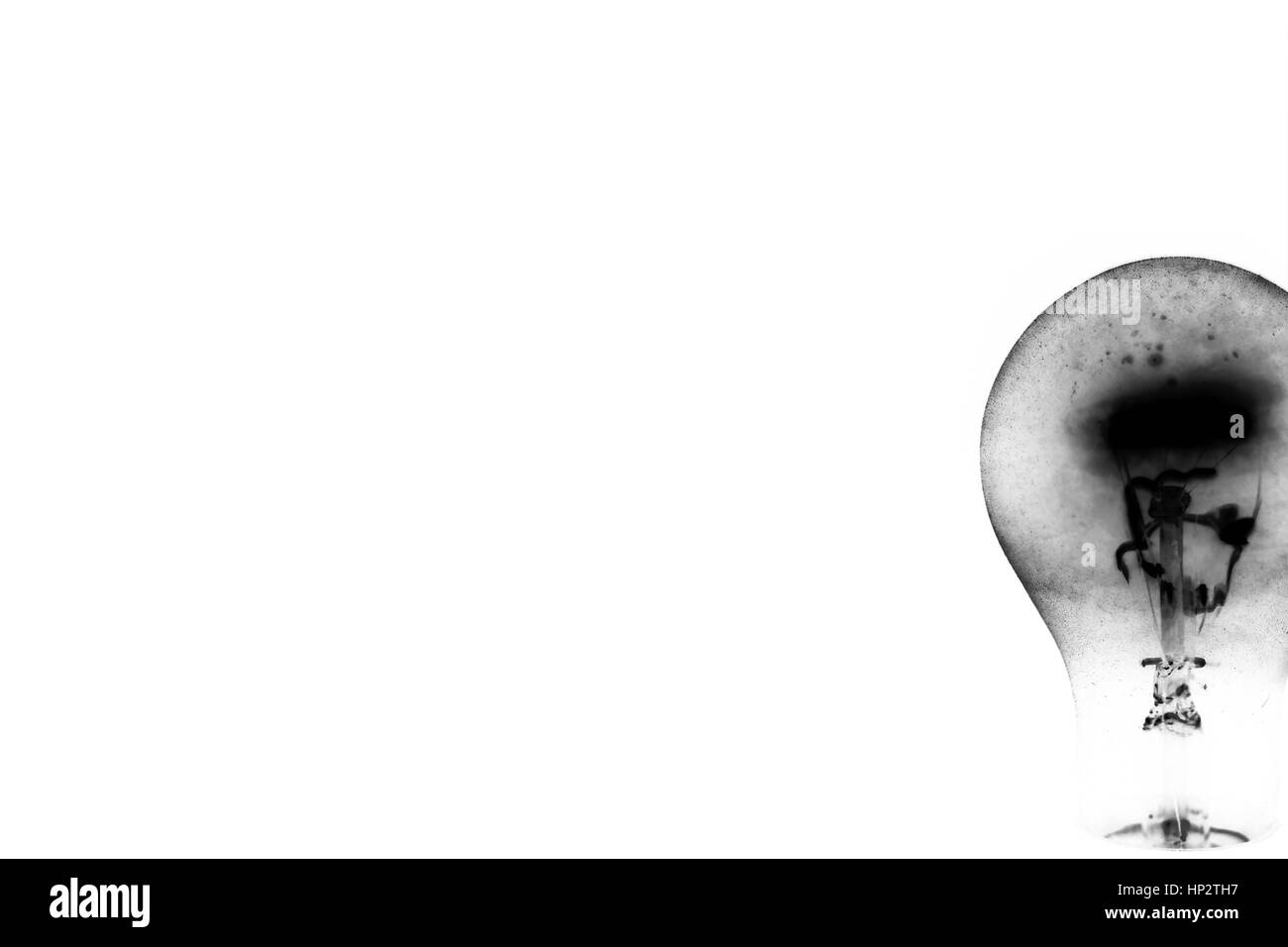 creative view of the light bulb in the form of a flower. art on white background monochrome Stock Photo