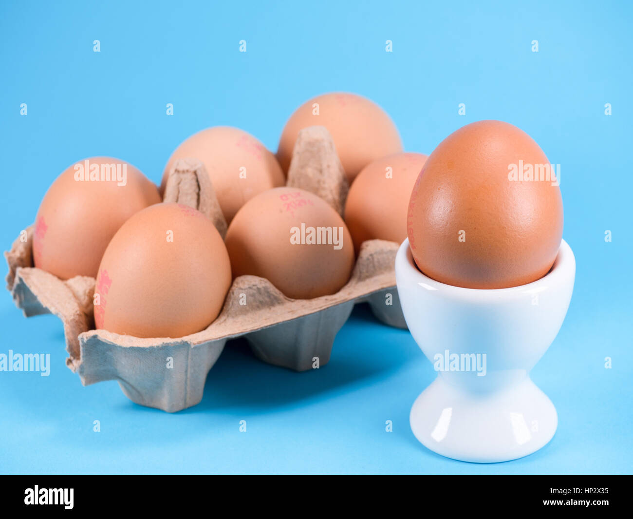 Half a dozen Organic Free Range eggs in an egg box on a blue studio