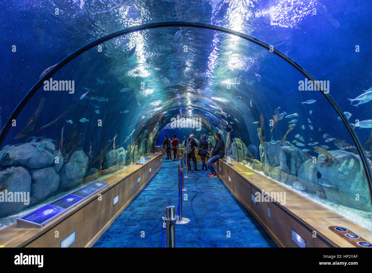 Inside Aquarium of the L'Oceanografic, Valencia Ciudad de las Artes y las Ciencias Stock Photo