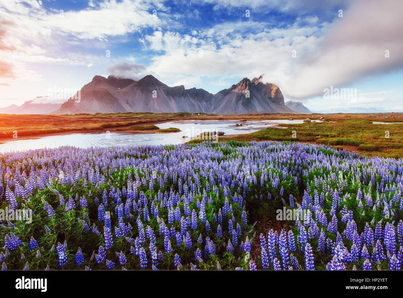 The picturesque landscapes forests and mountains of Iceland. Stock Photo