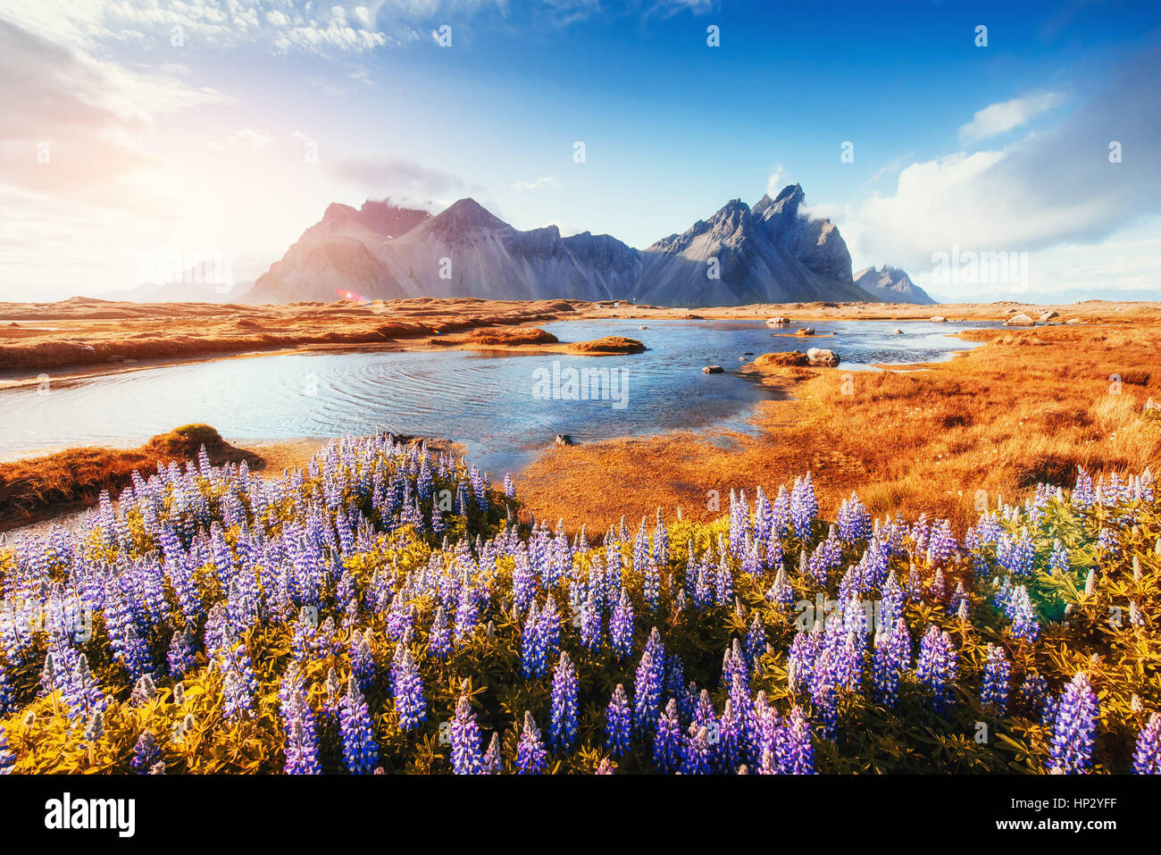 The picturesque landscapes forests and mountains of Iceland. Stock Photo