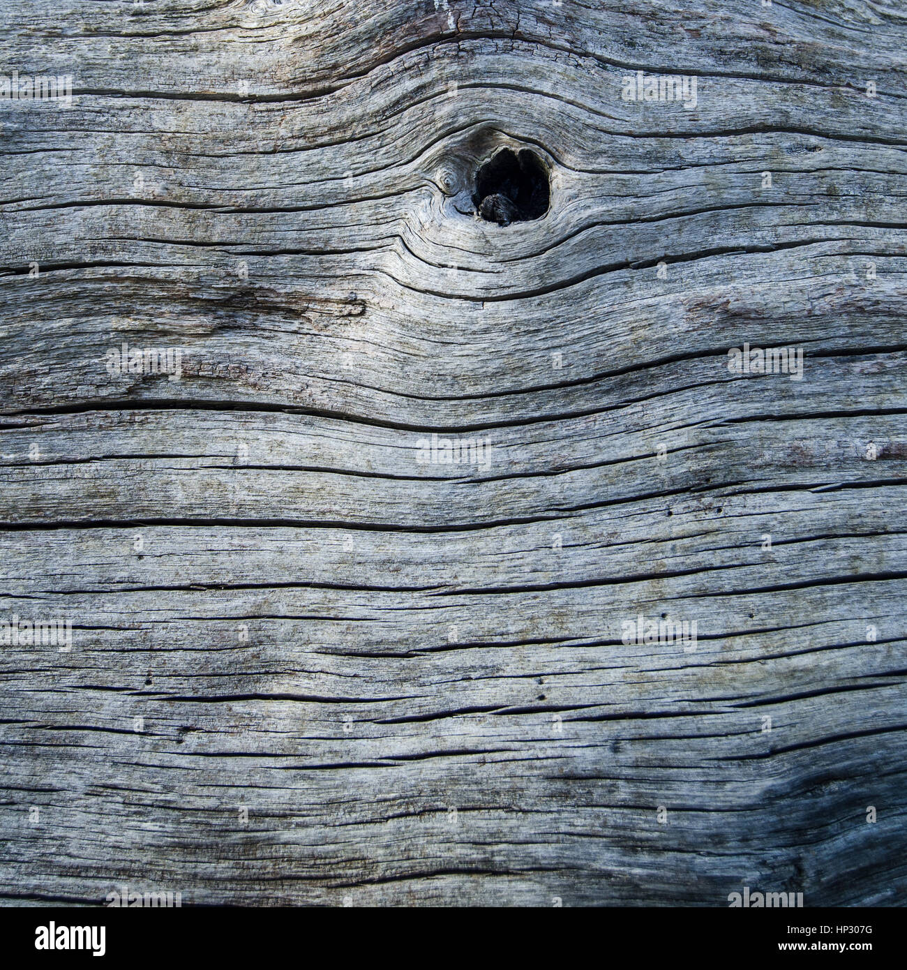 Abstract Background Wood Texture Of An Old Tree Trunk With Knot Stock Photo