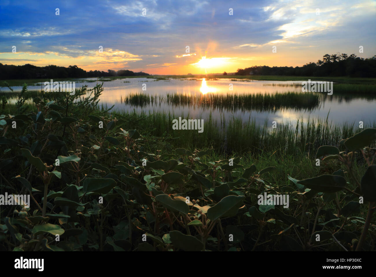 A landscape photo of sunrise over the marsh near Bass Pond on Kiawah Island in South Carolina. Stock Photo