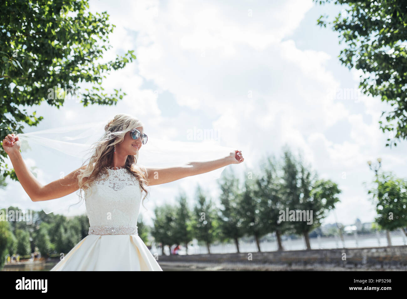 Portrait of a happy bride posing with veil Stock Photo - Alamy