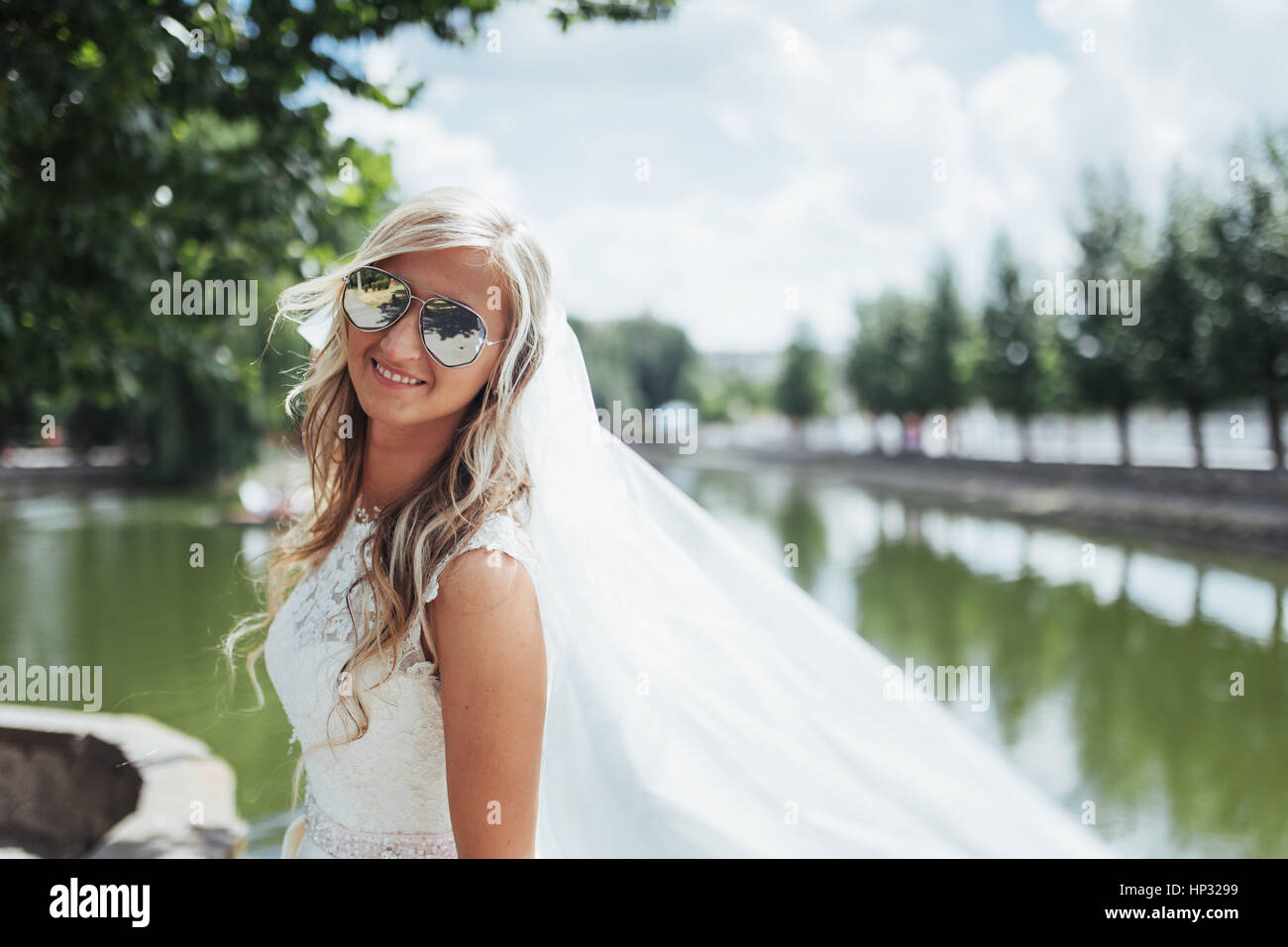 Portrait of a happy bride posing with veil Stock Photo - Alamy