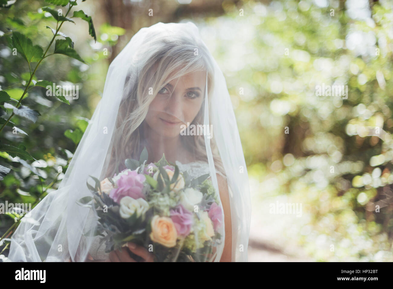 Portrait of a happy bride posing with veil Stock Photo - Alamy