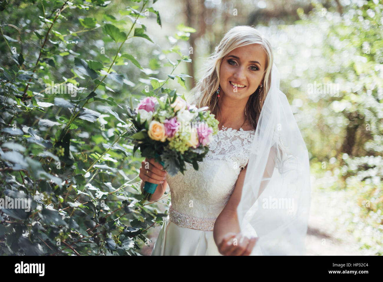 Portrait of a happy bride posing with veil Stock Photo - Alamy
