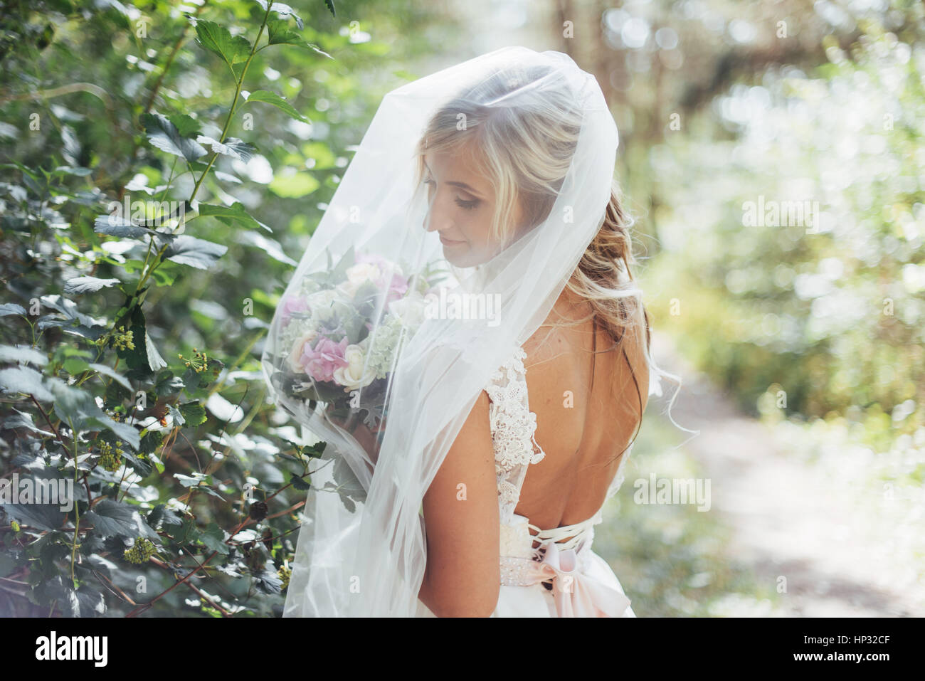 Portrait of a happy bride posing with veil Stock Photo - Alamy