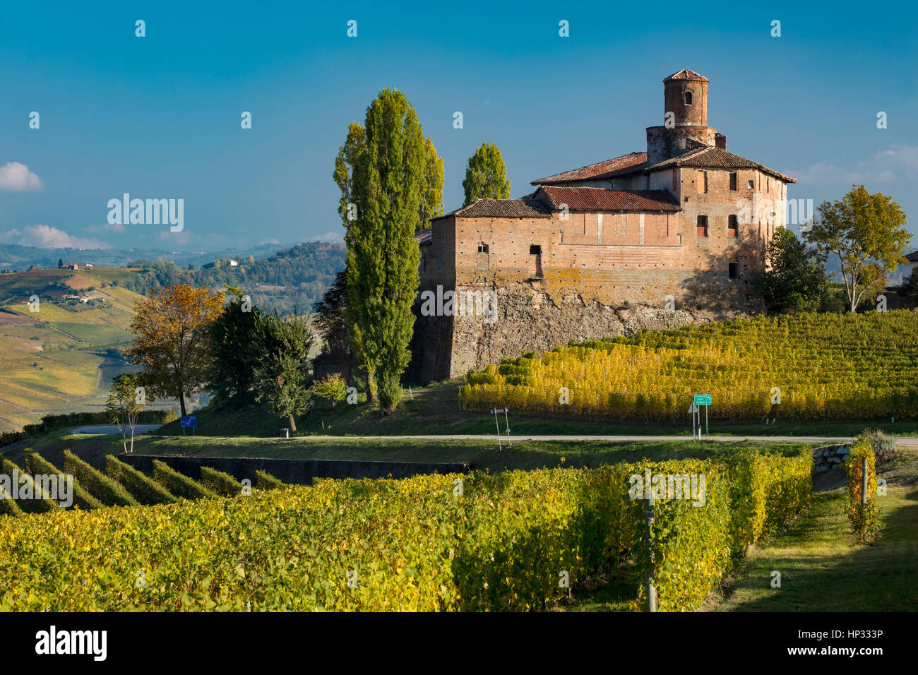 Castello della Volta, Vineyards and countryside surrounding Barolo, Piemonte, Italy Stock Photo