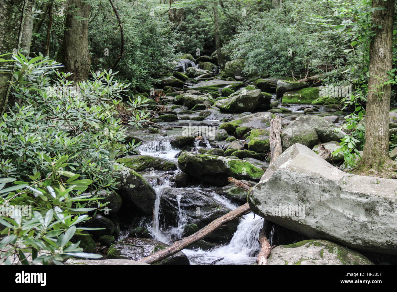 Beautiful mountain stream in Smoky Mountains National Park that we saw on our family hike. Stock Photo