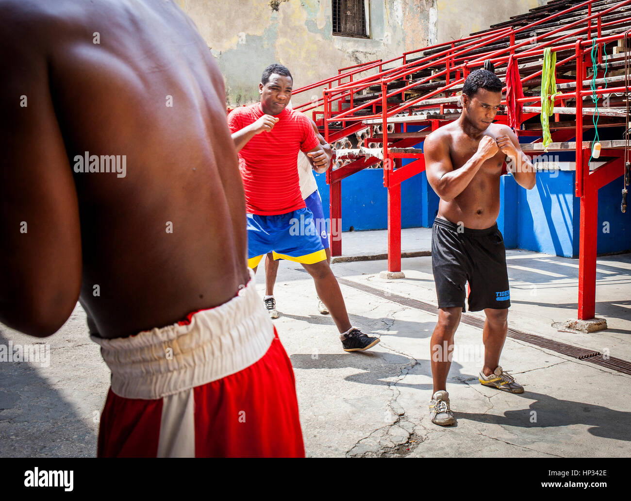 young, Training, in Rafael Trejo Boxing Gym, Habana Vieja, La Habana, Cuba Stock Photo