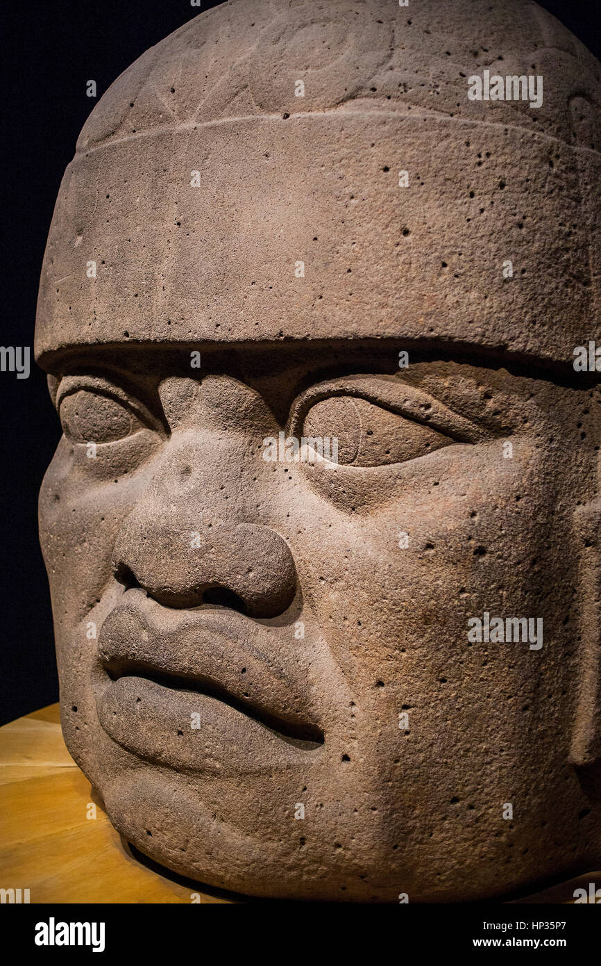 Olmec Giant Head, National Museum of Anthropology. Mexico City. Mexico Stock Photo