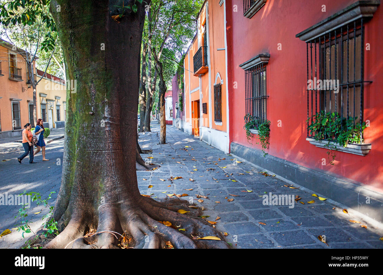 Typical, architecture, in Avenida Francisco Sosa, Coyoacan, Mexico City