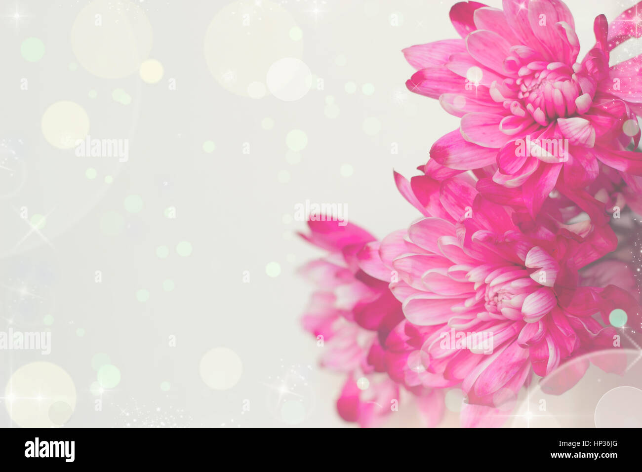 Pink flowers in pastel colors wallpaper Stock Photo - Alamy