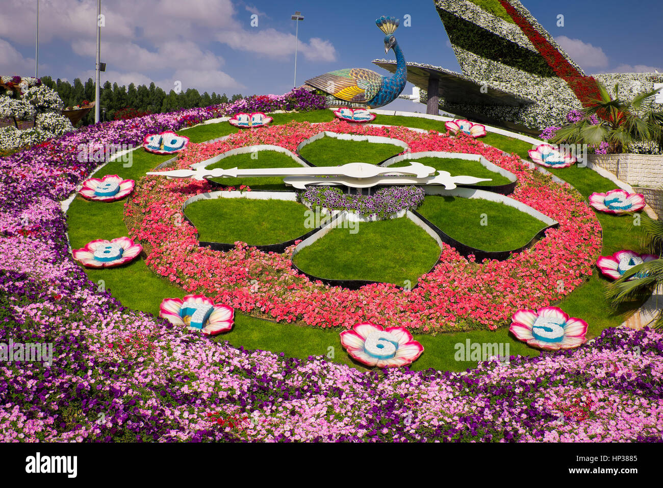 Dubai Miracle Garden Stock Photo Alamy