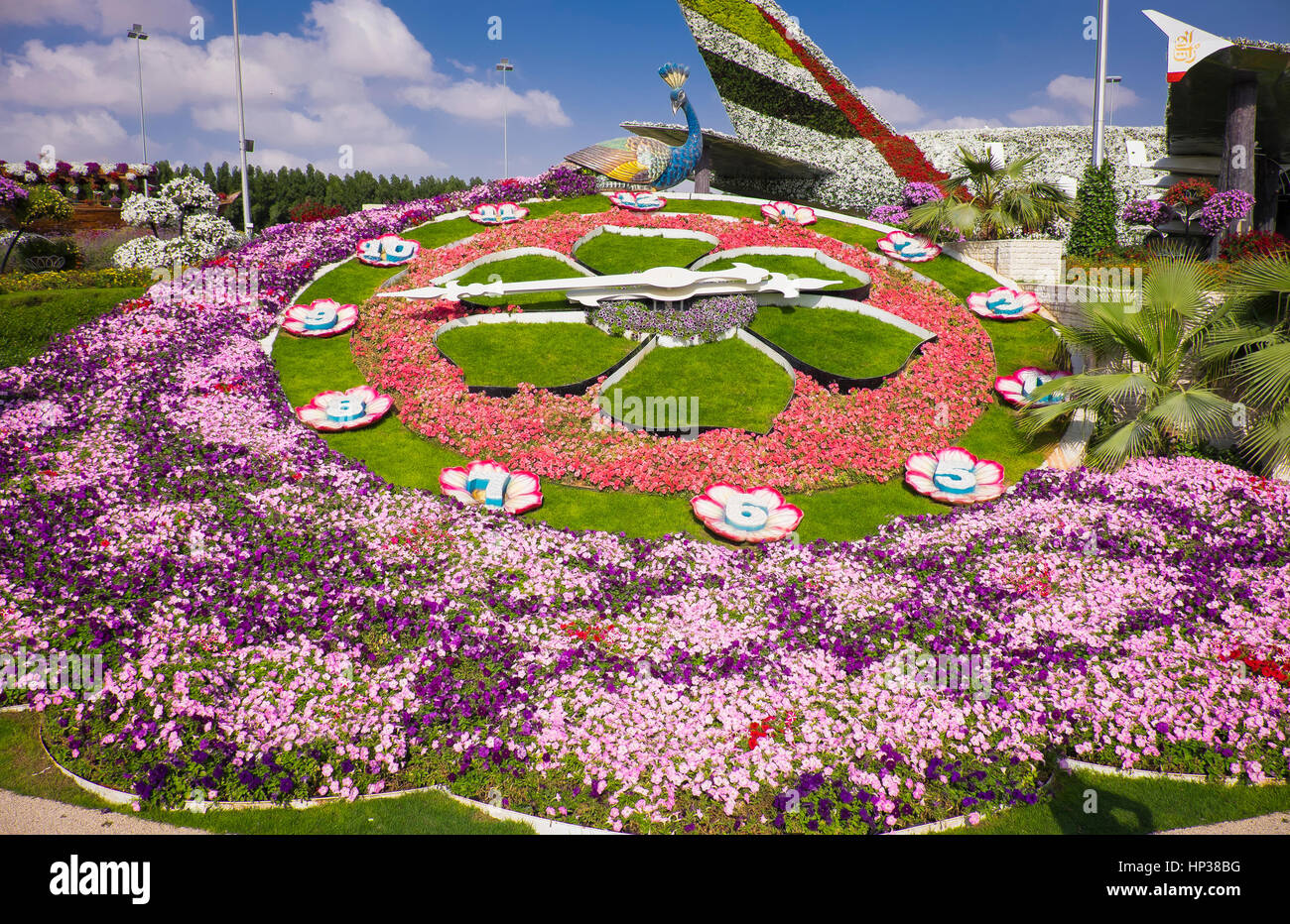 Dubai Miracle Garden Stock Photo Alamy