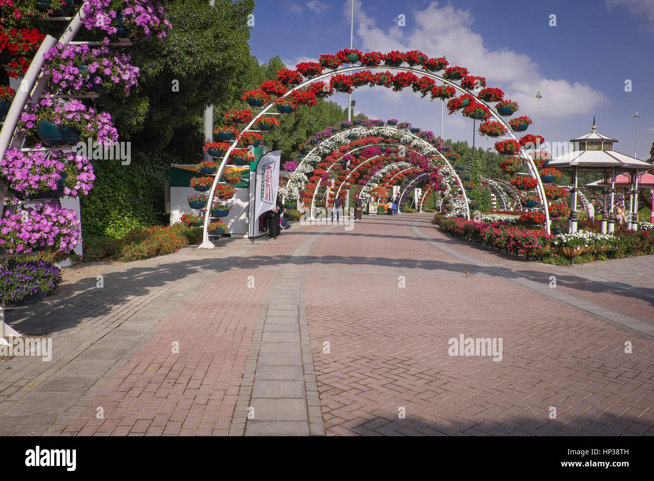 Dubai Miracle Garden Stock Photo Alamy